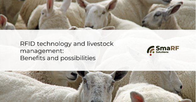 sheep-livestock-management